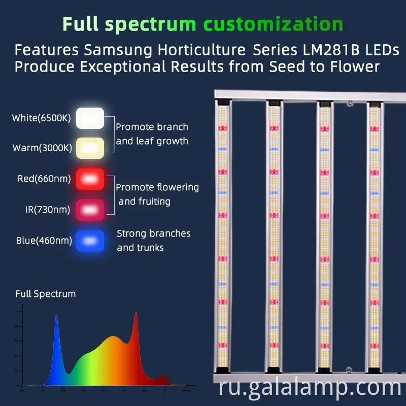Выращивать светодиодное освещение для впечатляющего крытого растения фотосинтеза